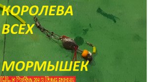 ЧТО ЭТО ЗА ЧУДО МОРМЫШКА СВОИМИ РУКАМИ, НИ У КОГО НИ ОДНОЙ ПОКЛЕВКИ А Я ТАСКАЮ ОДНУ ЗА ОДНОЙ.