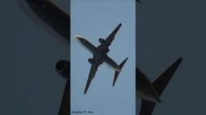 Boeing 737-8LJ авиакомпании Победа [RA-73245] заходит на посадку во Внуково (VKO/UUWW) 27.05.2023