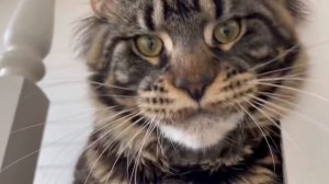 РИТА МОДА НА ДАЧЕ. ПРИВОДИМ В ПОРЯДОК НАШ НОВЫЙ УЧАСТОК. ПОДГОТОВКА К УСТАНОВКЕ ЗАБОРА.