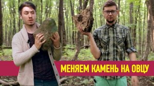 Меняем камень на овцу! Внимание! Важная информация внутри ролика