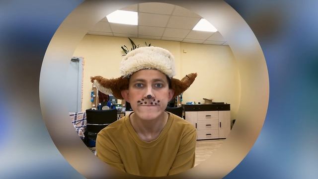 С днём защиты животных! смотреть онлайн