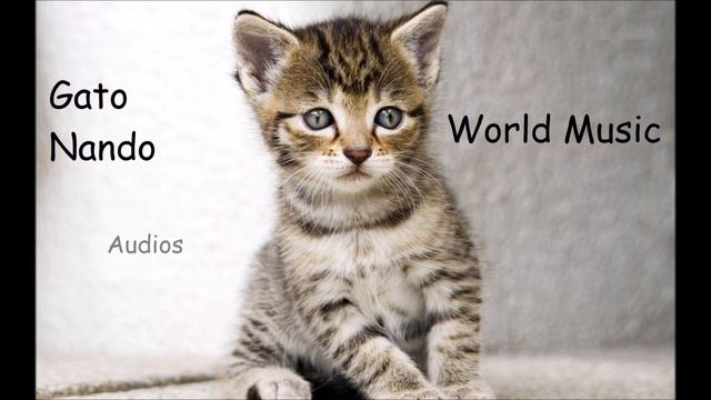 Gato Nando - Cuando el Rey Nimrod (tradicional sefardita) смотреть онлайн