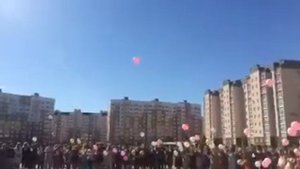 Выпуск белых голубей на выпускном вечере!!! www.pigeons.by