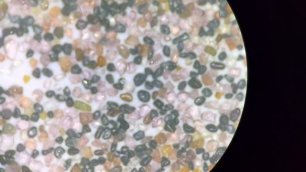 Определение минерального состава горных пород с помощью микроскопа Olympus BX-53