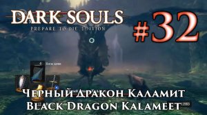 Черный Дракон Каламит: Dark Souls / Дарк Соулс - тактика как убить, как победить босса ДС