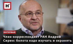 ЧЛЕН-КОРРЕСПОНДЕНТ РАН АНДРЕЙ СИРИН: БОЛОТА НАДО ИЗУЧАТЬ И ОХРАНЯТЬ