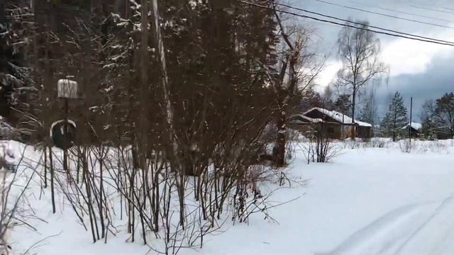 Старый дом за 600 тысяч рублей около железной дороги в лесу