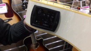 Yamaha APX 600