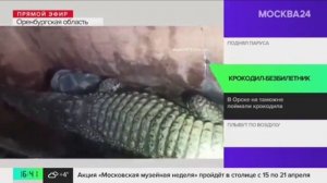 Телеканал «Москва 24», программа «Новости», 04.04.2024