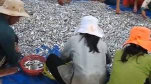 Вьетнамская рыбалка