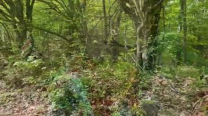 КРЫМ -между двух долин Бельбекской и Байдарской. #крым #отдыхвкрыму #горы