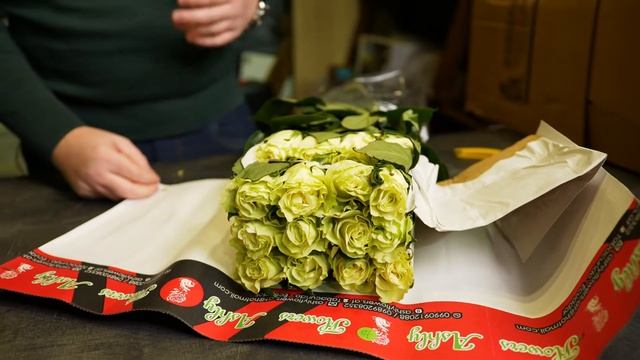 Роза, сорт Mondial, 60 и 70 см. Плантация Ashly Flowers. Эквадор. смотреть онлайн