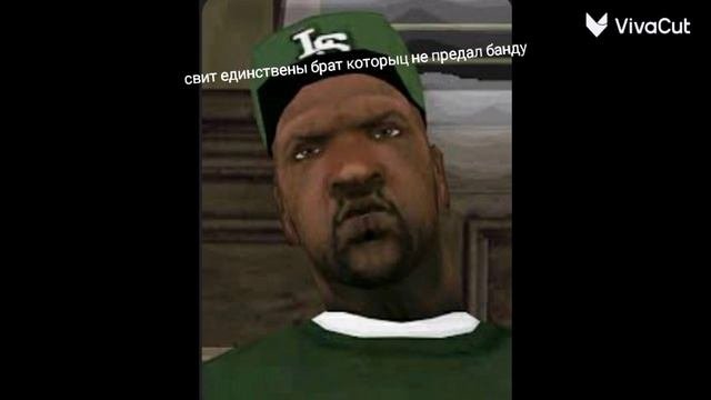 ФАКТЫ О СВИТЕ