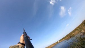 Охота с махОкрылами ЁКЛМН Утка перла как дурная  Охота на уток осенью. Кряква 2022 Махокрылы купить