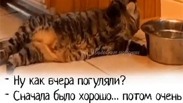 =С КЕМ ПОВЕДЁШЬСЯ, от того и НАБЕРЁШЬСЯ!= смотреть онлайн