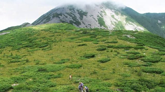 Усадьба Деревенское подворье смотреть онлайн