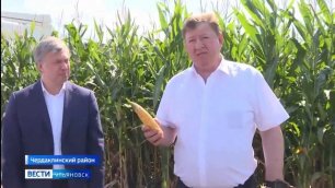 Визит председателя Комитета по аграрным вопросам ГД РФ Владимира  Кашина в Ульяновский ГАУ