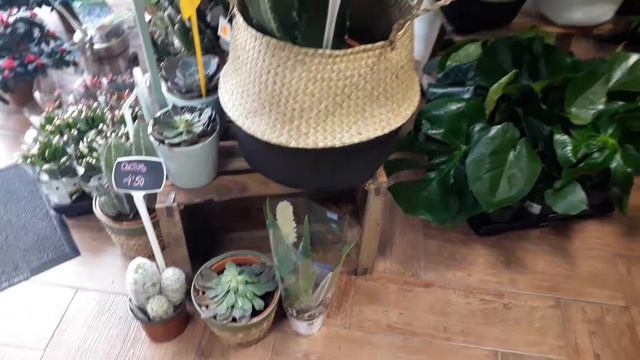 Plantas interior-exterior