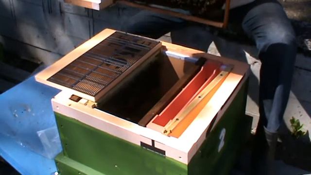 3 ревизия пакета номер 2. Дата 04.06.2017 матка сеет по 2-3 яйца. Вопрос снят. смотреть онлайн