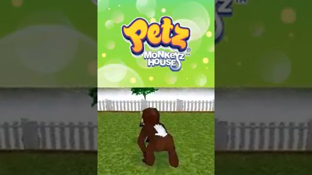 Petz   Monkeyz House USA mp4 HYPERSPIN DS NINTENDO DS NOT MINE VIDEOS