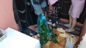 Повседневная уборка всей квартиры