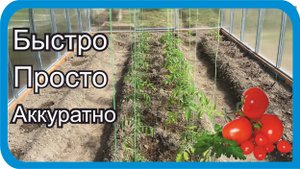 Как подвязывать в теплице ПОМИДОРЫ ОГУРЦЫ ПЕРЕЦ