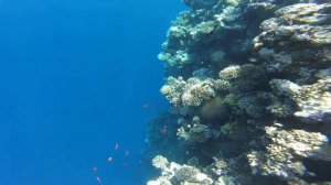 Голубая дыра (Красное море). Дахаб, Египет 03.11.2017.