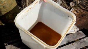 КАС-81 для здоровья пчел (ВИДЕО)