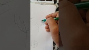 Как сформировать плодовое дерево в первый год после посадки. Формировка скелетных веток