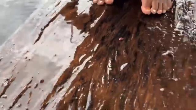 PEGAMOS TANTO PEIXE QUE DEU PRO ALMOÇO E PRA JANTA GRAÇAS A DEUS/VIDA REAL NO INTERIOR DO AMAZONAS. смотреть онлайн