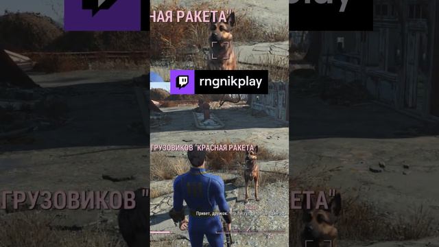 Fallout 4  Лучший друг человека #shorts #игры #games