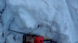 МОТОБУКСИРОВЩИК ХАСКИ. РЕКА ЧУСОВАЯ.