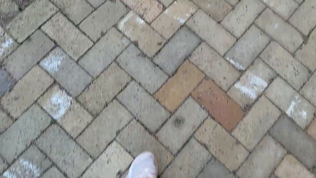 Второй день в Германии. Забастовка фермеров смотреть онлайн