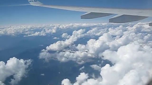 Полет севернее Ванкувера. смотреть онлайн