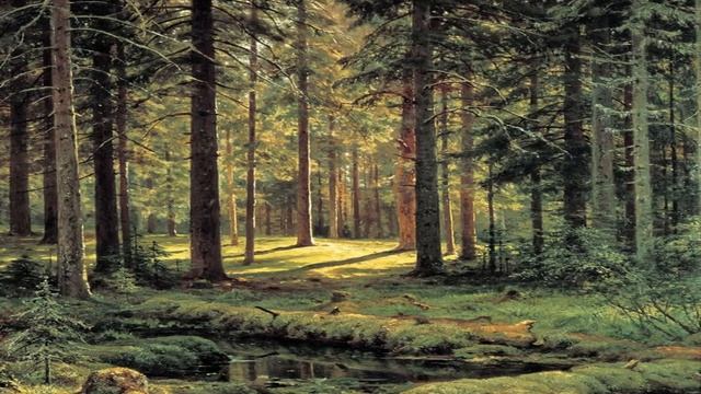 Русские Иваны смотреть онлайн