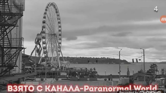 Топ 5 ФОНАРЕГОЛОВЫЙ снятых на камеру