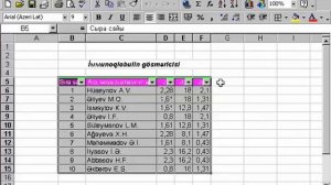 Microsoft Excel 2003 Azərbaycanca - Dərs 7.1 Siyahının analizi üçün filtirlərin istifadə edilməsi