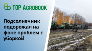 Подсолнечник подорожал на фоне проблем с уборкой. TOP Agrobook: обзор аграрных новостей