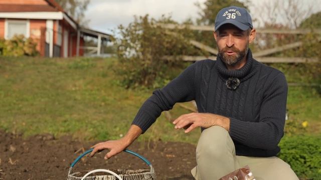 Лук будет крупным и здоровым. Осенняя посадка. смотреть онлайн