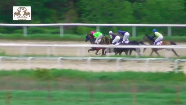 9.05.2021 - Приз Победы на лошадях 3-х лет ахалтекинской породы - Дайсан смотреть онлайн