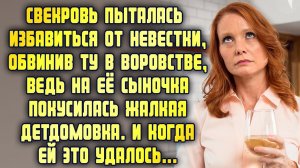 Свекровь подставила невестку, обвинив её в воровстве, ведь та из детского дома и не достойна её сына