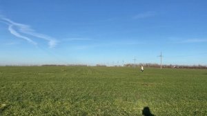 Москва- Анапа на машине с собаками. Всё забыли в отеле ?Цены на бензин, отель, платные дороги