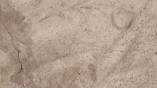 Маленькие красные паучки смотреть онлайн