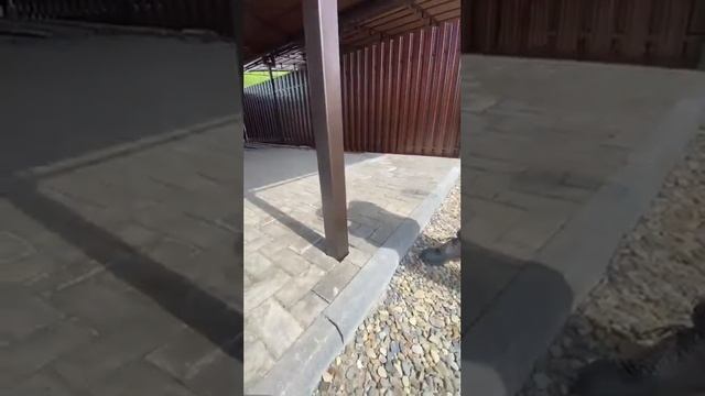 Обзор двух полуарочных навесов (кровля мягкая черепица)