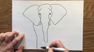 Как нарисовать слона How to draw an elephant