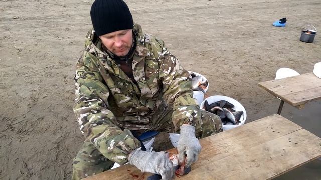 Быстрая разделка окуня смотреть онлайн