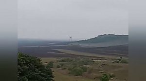 Шокирующие факты о подсолнечном масле, выращивания подсолнуха, изготовление масла, масло!