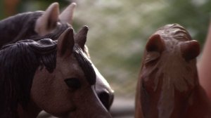 |𝙆𝙊𝙆𝙊𝙃| ЛЯПЫ СО СЪЁМОК 2 часть /ШЛЯЙХ/