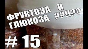 Брага на фруктозе и глюкозе. Эксперимент.