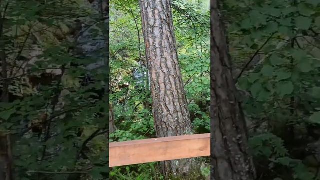 путешествие в Екатеринбург часть 3 смотреть онлайн